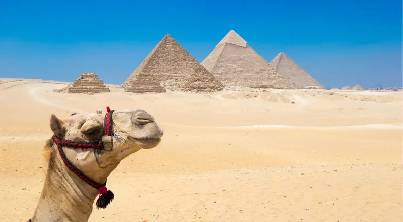 Camel and rider silhouetted against the Pyramids of Giza on the desert plateau
