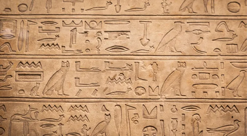 Rows of carved Egyptian hieroglyphs in pale limestone, owls, reeds and water signs cut in low relief