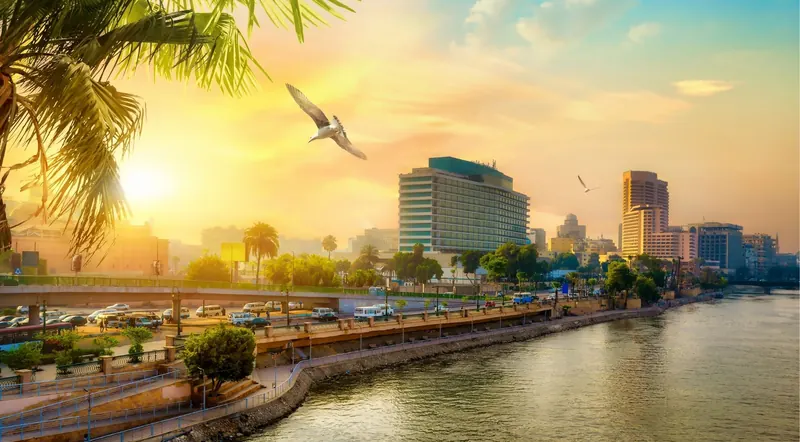 Sunset over the Nile River in central Cairo with a flying seagull
